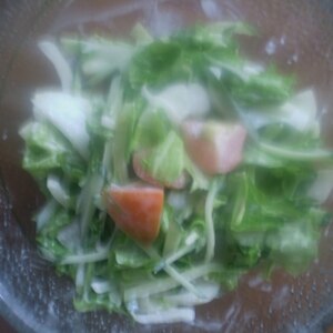 レタスと水菜のコールスロー風サラダ